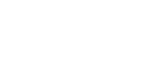 logo light